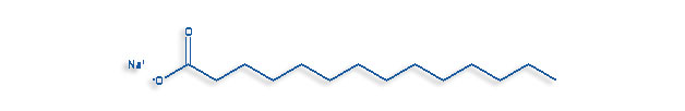 Sodium Myristate