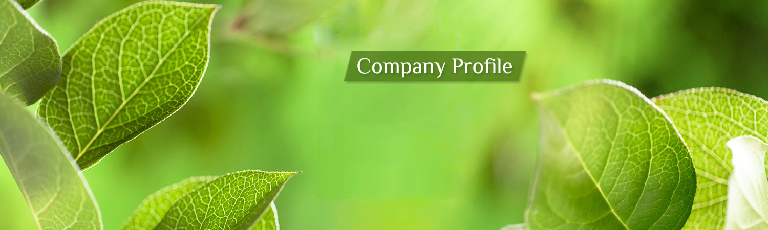 Company Profile