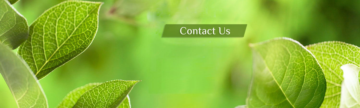 Contact Us